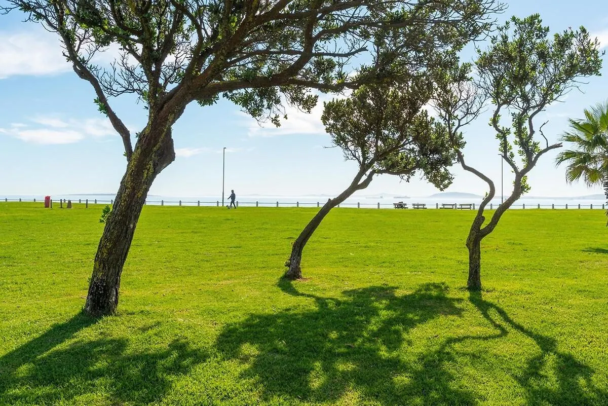 Central, Secure, Good Wifi- With Parking Cape Town Apartment